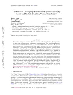 DuoFormer: Leveraging Hierarchical Representations by Local and Global Attention Vision Transformer