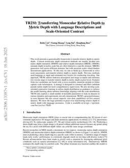 TR2M: Transferring Monocular Relative Depth to Metric Depth with Language Descriptions and Scale-Oriented Contrast