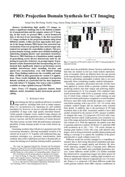 PRO: Projection Domain Synthesis for CT Imaging