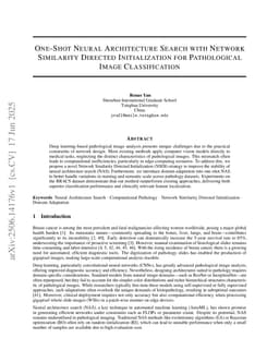 One-Shot Neural Architecture Search with Network Similarity Directed Initialization for Pathological Image Classification