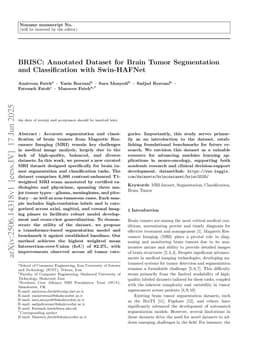 BRISC: Annotated Dataset for Brain Tumor Segmentation and Classification with Swin-HAFNet