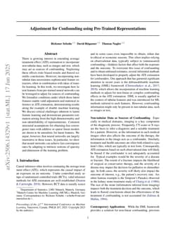 Adjustment for Confounding using Pre-Trained Representations