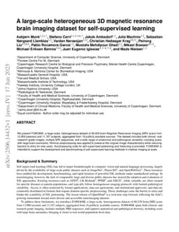 A large-scale heterogeneous 3D magnetic resonance brain imaging dataset for self-supervised learning