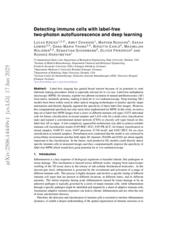 Detecting immune cells with label-free two-photon autofluorescence and deep learning