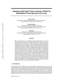 Adapting Lightweight Vision Language Models for Radiological Visual Question Answering