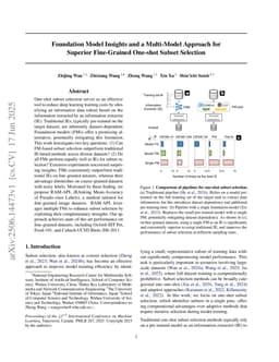 Foundation Model Insights and a Multi-Model Approach for Superior Fine-Grained One-shot Subset Selection
