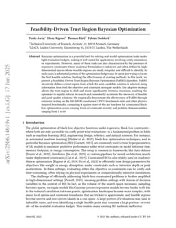 Feasibility-Driven Trust Region Bayesian Optimization
