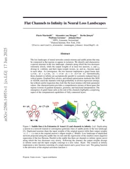 Flat Channels to Infinity in Neural Loss Landscapes