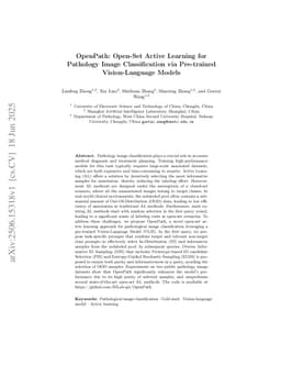 OpenPath: Open-Set Active Learning for Pathology Image Classification via Pre-trained Vision-Language Models