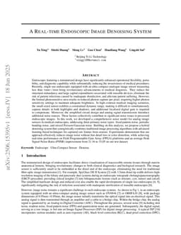 A Real-time Endoscopic Image Denoising System