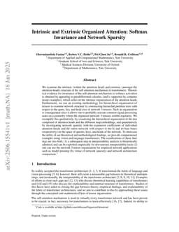 Intrinsic and Extrinsic Organized Attention: Softmax Invariance and Network Sparsity