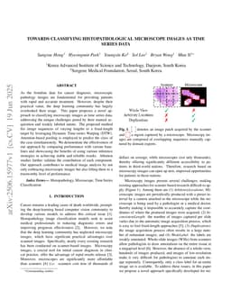 Towards Classifying Histopathological Microscope Images as Time Series Data