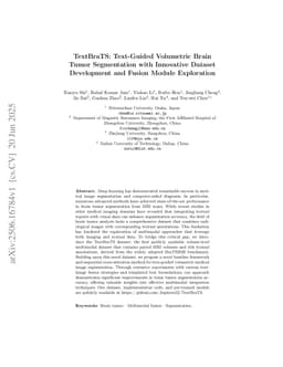 TextBraTS: Text-Guided Volumetric Brain Tumor Segmentation with Innovative Dataset Development and Fusion Module Exploration