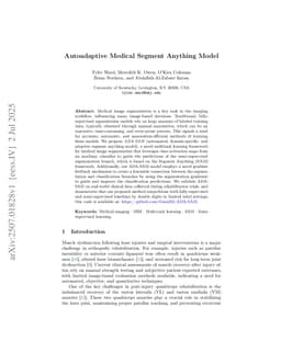 Autoadaptive Medical Segment Anything Model