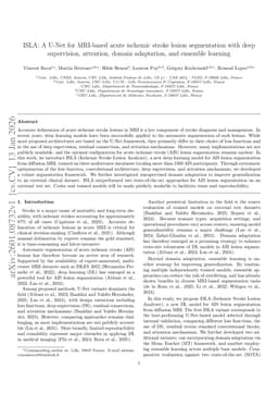 ISLA: A U-Net for MRI-based acute ischemic stroke lesion segmentation with deep supervision, attention, domain adaptation, and ensemble learning